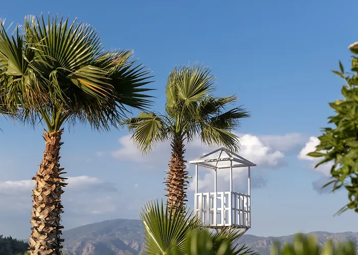 Marti La Perla (adults Only) Hotel 4*